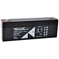 Los mejores  - HEYCAR - Batería de Plomo AGM para aplicaciones estacionarias. 12V - 1-2Ah. Capacidad de descarga 18A 0-54 Kg. 98 x 43 x…